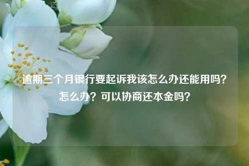 逾期三个月银行要起诉我该怎么办还能用吗？怎么办？可以协商还本金吗？