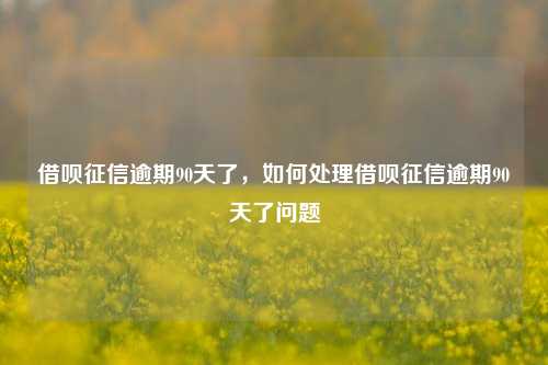 借呗征信逾期90天了，如何处理借呗征信逾期90天了问题