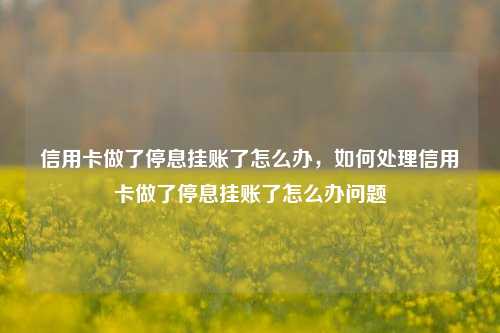 信用卡做了停息挂账了怎么办，如何处理信用卡做了停息挂账了怎么办问题