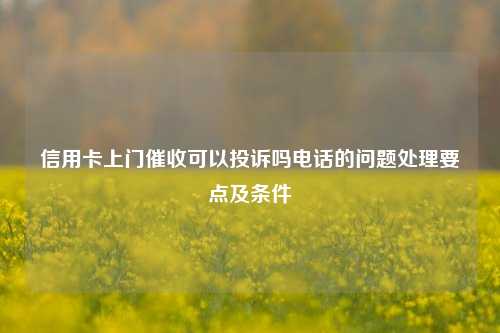 信用卡上门催收可以投诉吗电话的问题处理要点及条件