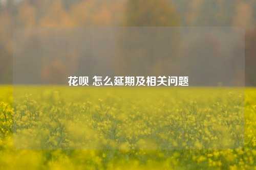 花呗 怎么延期及相关问题