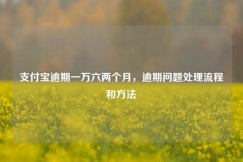 支付宝逾期一万六两个月，逾期问题处理流程和方法