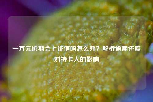 一万元逾期会上征信吗怎么办？解析逾期还款对持卡人的影响