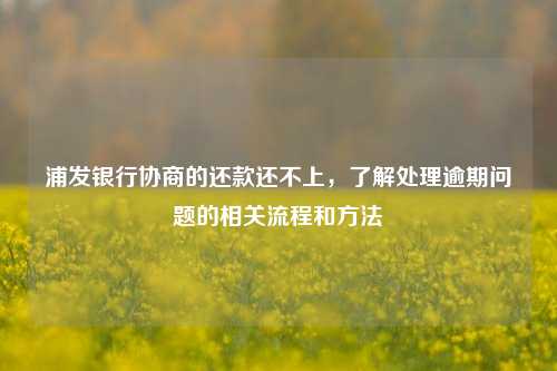 浦发银行协商的还款还不上，了解处理逾期问题的相关流程和方法