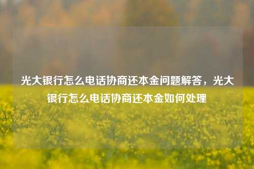 光大银行怎么电话协商还本金问题解答，光大银行怎么电话协商还本金如何处理