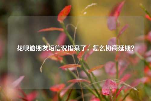 花呗逾期发短信说报案了，怎么协商延期？