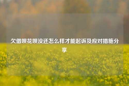 欠借呗花呗没还怎么样才能起诉及应对措施分享