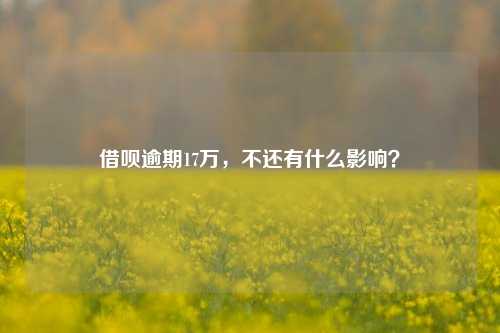 借呗逾期17万，不还有什么影响？