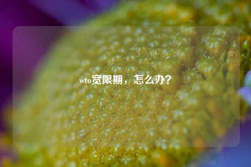 wto宽限期，怎么办？