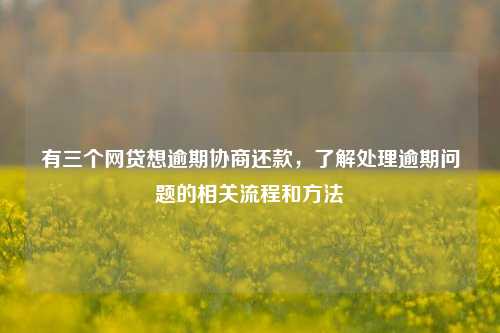 有三个网贷想逾期协商还款，了解处理逾期问题的相关流程和方法