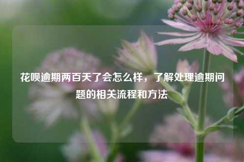 花呗逾期两百天了会怎么样，了解处理逾期问题的相关流程和方法