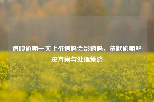 借呗逾期一天上征信吗会影响吗，贷款逾期解决方案与处理策略