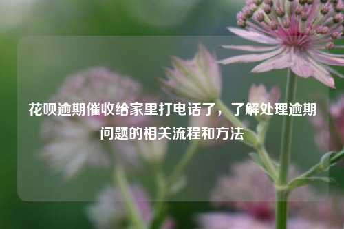 花呗逾期催收给家里打电话了，了解处理逾期问题的相关流程和方法