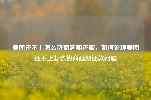 美团还不上怎么协商延期还款，如何处理美团还不上怎么协商延期还款问题