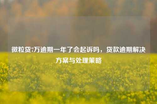 微粒贷7万逾期一年了会起诉吗，贷款逾期解决方案与处理策略