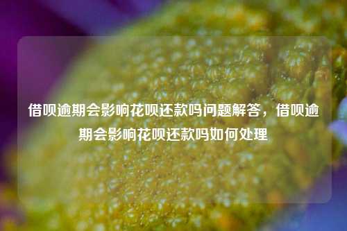 借呗逾期会影响花呗还款吗问题解答，借呗逾期会影响花呗还款吗如何处理