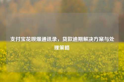 支付宝花呗爆通讯录，贷款逾期解决方案与处理策略