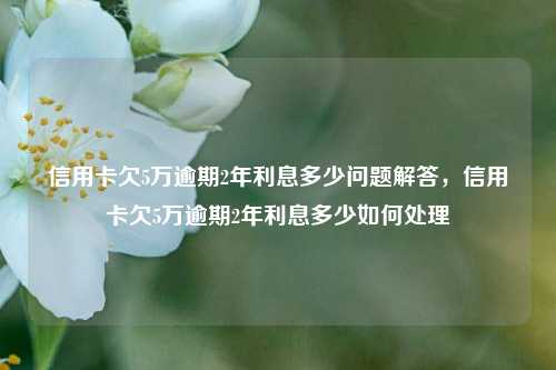 信用卡欠5万逾期2年利息多少问题解答，信用卡欠5万逾期2年利息多少如何处理