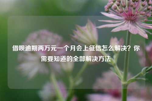 借呗逾期两万元一个月会上征信怎么解决？你需要知道的全部解决方法