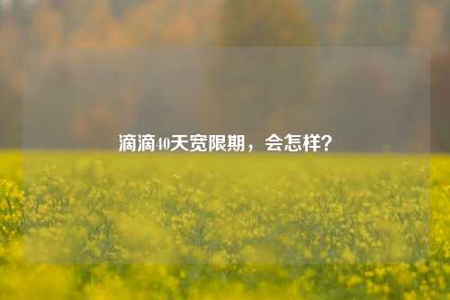 滴滴40天宽限期，会怎样？