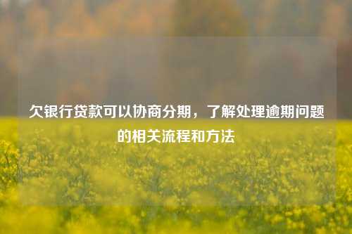 欠银行贷款可以协商分期，了解处理逾期问题的相关流程和方法