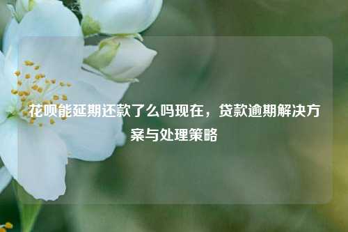 花呗能延期还款了么吗现在，贷款逾期解决方案与处理策略