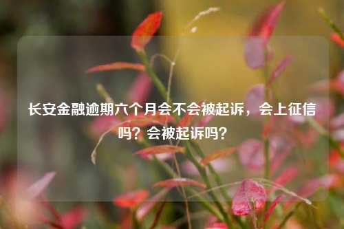 长安金融逾期六个月会不会被起诉，会上征信吗？会被起诉吗？