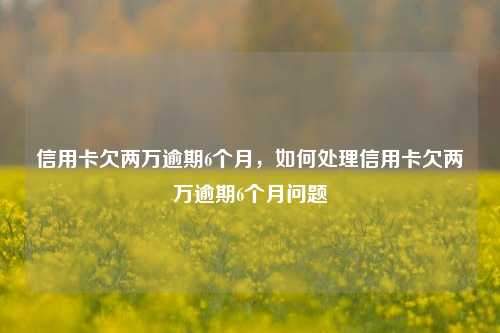 信用卡欠两万逾期6个月，如何处理信用卡欠两万逾期6个月问题