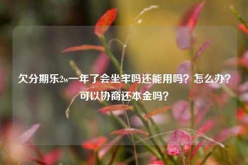 欠分期乐2w一年了会坐牢吗还能用吗？怎么办？可以协商还本金吗？