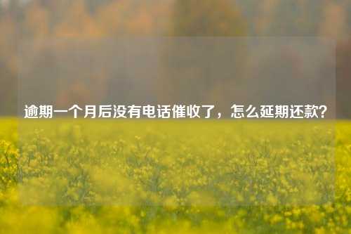 逾期一个月后没有电话催收了，怎么延期还款？