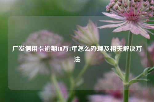 广发信用卡逾期10万1年怎么办理及相关解决方法