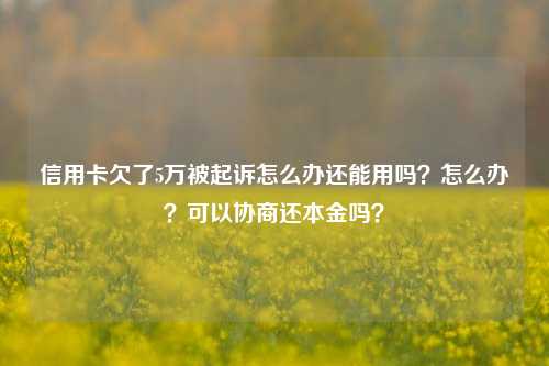 信用卡欠了5万被起诉怎么办还能用吗？怎么办？可以协商还本金吗？