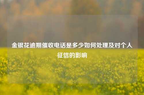 金银花逾期催收电话是多少如何处理及对个人征信的影响