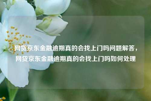 网贷京东金融逾期真的会找上门吗问题解答，网贷京东金融逾期真的会找上门吗如何处理