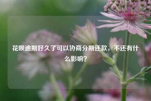 花呗逾期好久了可以协商分期还款，不还有什么影响？