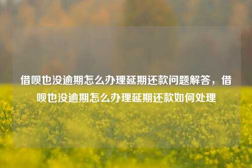 借呗也没逾期怎么办理延期还款问题解答，借呗也没逾期怎么办理延期还款如何处理