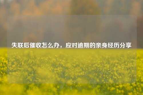 失联后催收怎么办，应对逾期的亲身经历分享