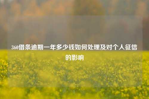 360借条逾期一年多少钱如何处理及对个人征信的影响