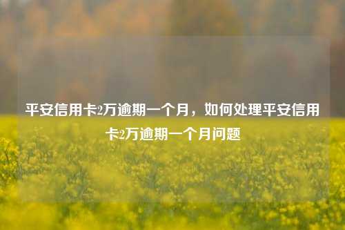 平安信用卡2万逾期一个月，如何处理平安信用卡2万逾期一个月问题