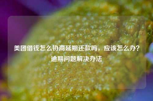 美团借钱怎么协商延期还款吗，应该怎么办？逾期问题解决办法