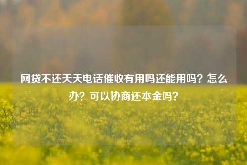 网贷不还天天电话催收有用吗还能用吗？怎么办？可以协商还本金吗？