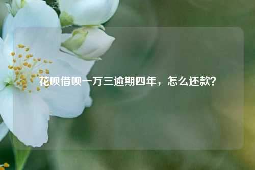 花呗借呗一万三逾期四年，怎么还款？