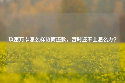 玖富万卡怎么样协商还款，暂时还不上怎么办？