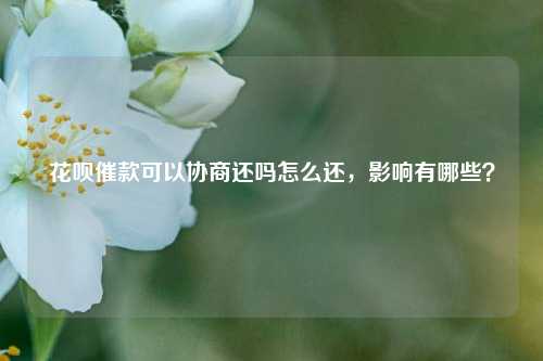 花呗催款可以协商还吗怎么还，影响有哪些？