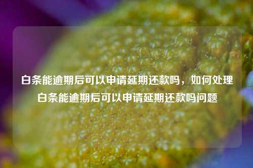 白条能逾期后可以申请延期还款吗，如何处理白条能逾期后可以申请延期还款吗问题