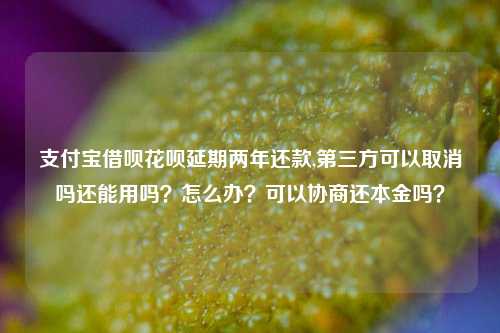 支付宝借呗花呗延期两年还款,第三方可以取消吗还能用吗？怎么办？可以协商还本金吗？