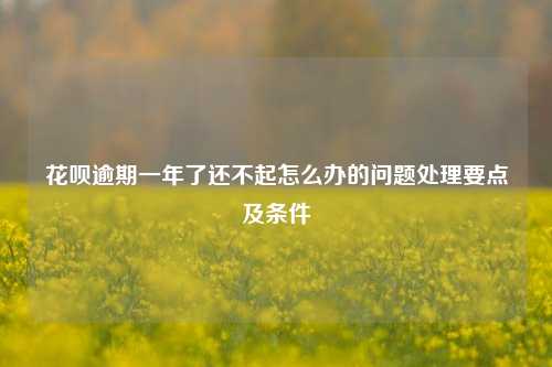 花呗逾期一年了还不起怎么办的问题处理要点及条件