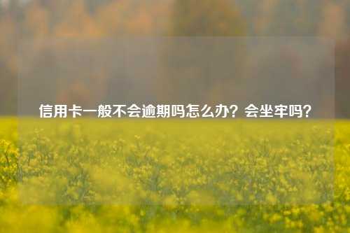 信用卡一般不会逾期吗怎么办？会坐牢吗？