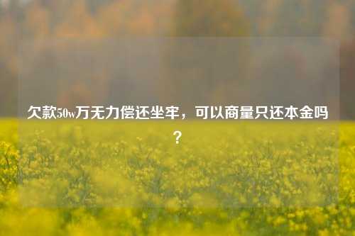 欠款50w万无力偿还坐牢，可以商量只还本金吗？