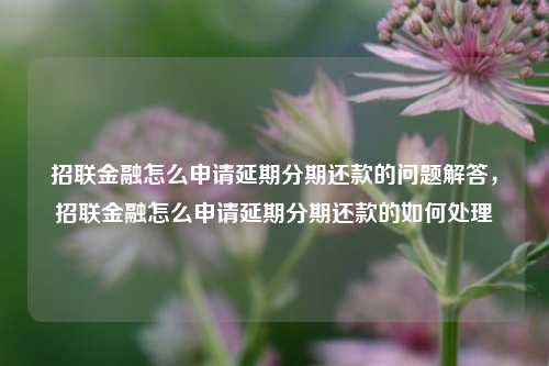 招联金融怎么申请延期分期还款的问题解答，招联金融怎么申请延期分期还款的如何处理